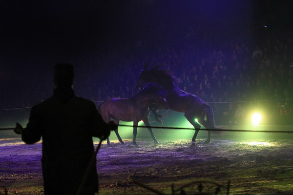 Apassionata_2014    006.jpg